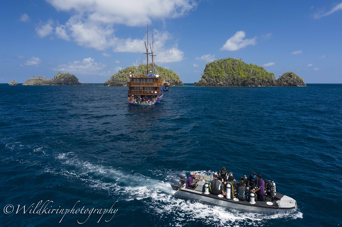 NEOMI GALLERY Diving Indonesia | Komodo | Raja Ampat | Bandaneira