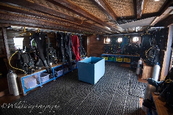 Dive Deck